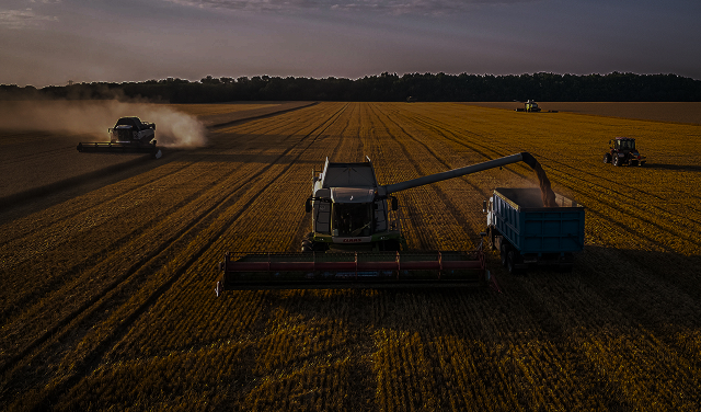 Линии газообеспечения (N₂ / СО₂ / O₂)