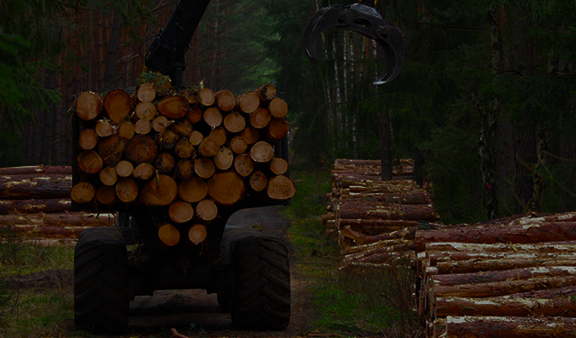 Линии газообеспечения (N₂ / СО₂ / O₂)