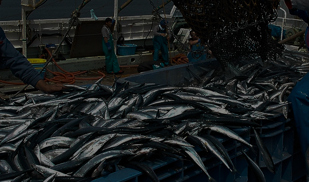 Линия производства колбас