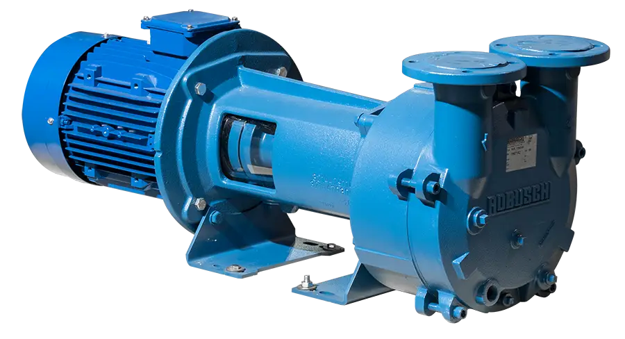 Моноблочный водокольцевой вакуумный насос ROBUSCHI RVS 7/SG ex. 09