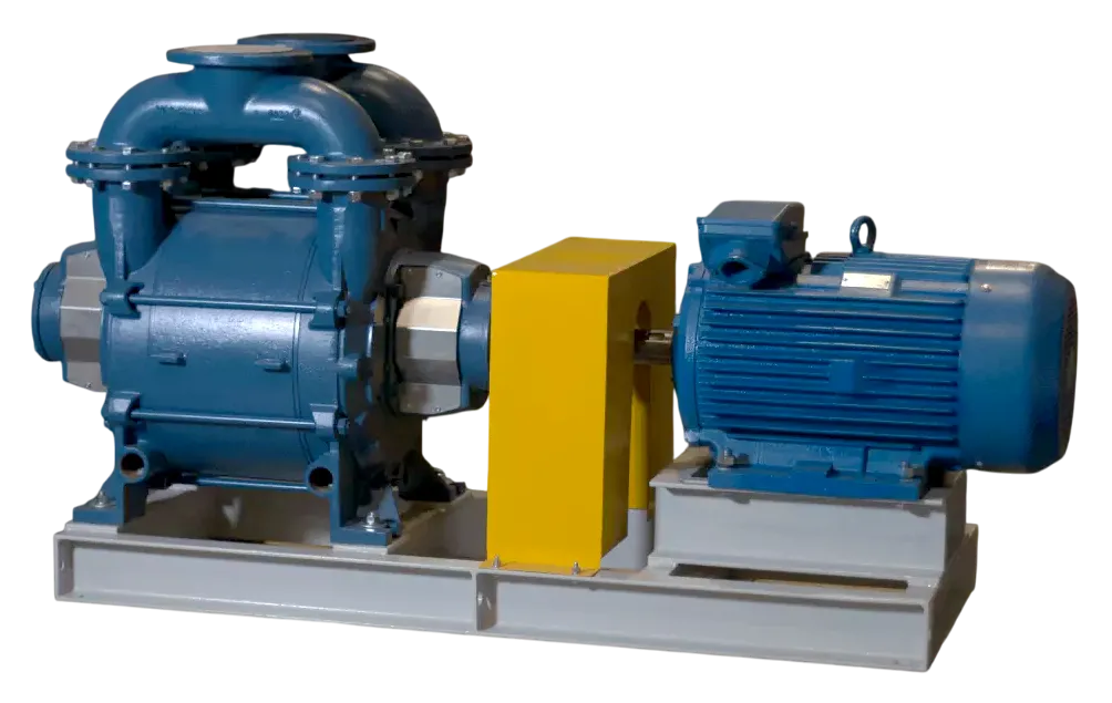 Водокольцевой вакуумный насос ROBUSCHI CRVS 23/TM-CT ex. 24