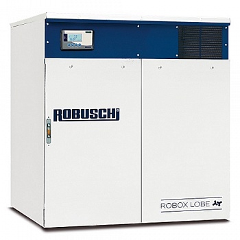 Роторная воздуходувка РУТС ROBUSCHI ROBOX ES 46/2P